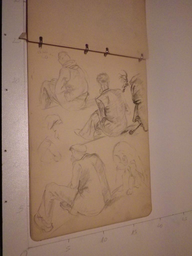 IMGP0449