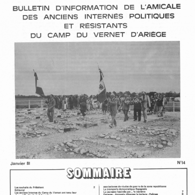 Bulletin 14 1981